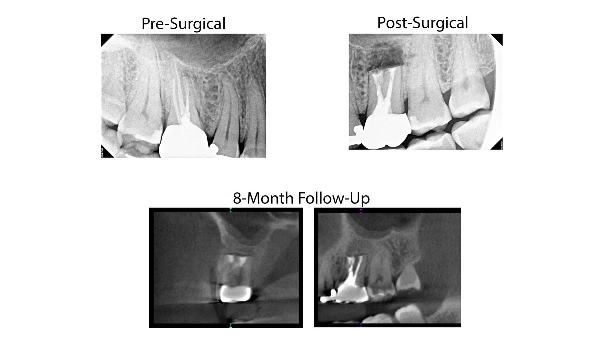 Miniresidency program Jan 2023 through Jan 2024 Root Camp